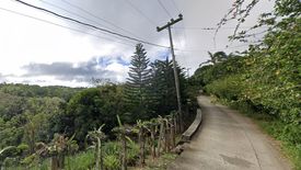 Land for sale in Iruhin West, Cavite