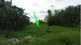 Land for sale in Dela Paz, Rizal