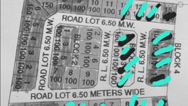 Land for sale in Bayabas, Zamboanga del Sur