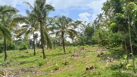 Land for sale in Bayabas, Zamboanga del Sur