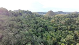 Land for sale in Poblacion, Bohol