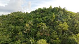 Land for sale in Poblacion, Bohol