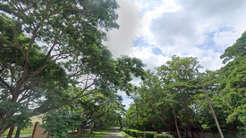 Land for sale in Don Jose, Laguna