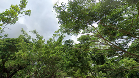 7 Bedroom House for sale in Don Jose, Laguna