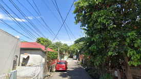 Land for sale in Don Jose, Laguna