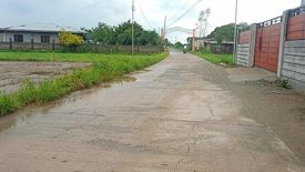 Land for sale in Manambong Parte, Pangasinan