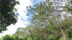 6 Bedroom Shophouse for sale in Patutong Malaki North, Cavite