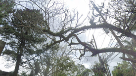 Land for sale in San Jose, Cavite