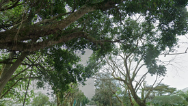 Land for sale in Iruhin South, Cavite