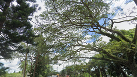 Land for sale in Neogan, Cavite