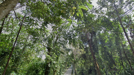 Land for sale in Silang Junction South, Cavite