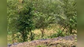 Land for sale in San Gregorio, Batangas