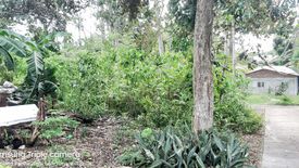 Land for sale in Taloto, Bohol