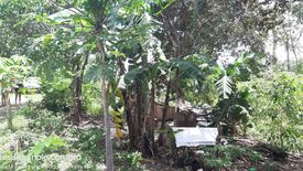 Land for sale in Taloto, Bohol