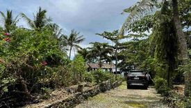 Land for sale in Calape, Cebu