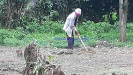 Land for rent in Inocencio, Cavite