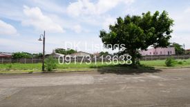 Land for sale in Almanza Dos, Metro Manila