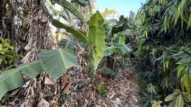 Land for sale in Marcelo Green Village, Metro Manila