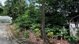 Land for sale in San Roque, Rizal