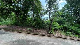 Land for sale in San Roque, Rizal