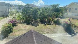 Land for sale in Don Jose, Laguna