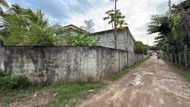 Land for sale in Silab, Negros Oriental