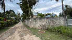 Land for sale in Silab, Negros Oriental