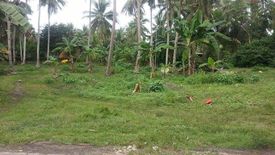 Land for sale in Catarman, Bohol