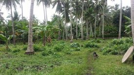 Land for sale in Catarman, Bohol