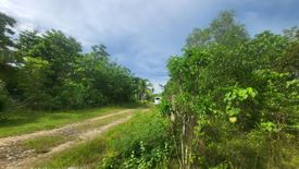 Land for sale in Bingag, Bohol