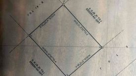 Land for sale in Pinagbuhatan, Metro Manila
