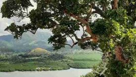 Land for sale in Tara, Palawan