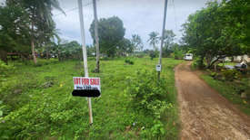 Land for sale in Tinago, Bohol