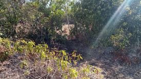 Land for sale in Biking, Bohol