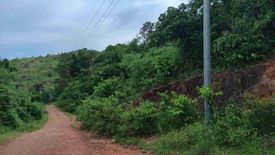 Land for sale in Borac, Palawan