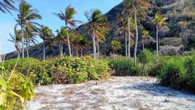 Land for sale in San Nicolas, Palawan