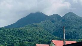 Land for sale in Santiago, Batangas