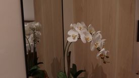 4 Bedroom Townhouse for sale in New Zañiga, Metro Manila