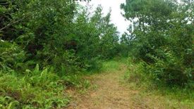 Land for sale in Tabaan Sur, Benguet