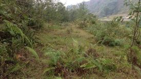 Land for sale in Tabaan Sur, Benguet