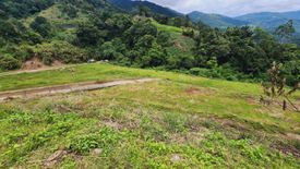 Land for sale in Tadiangan, Benguet