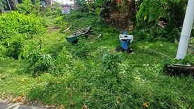 Land for sale in Manga, Bohol