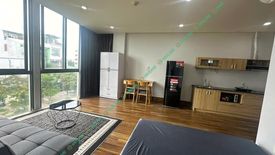 1 Bedroom Apartment for rent in Man Thai, Da Nang