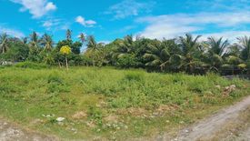 Land for sale in Maluay, Negros Oriental