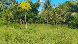Land for sale in Maluay, Negros Oriental