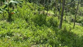 Land for sale in Poblacion, Negros Oriental