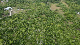 Land for sale in Dao, Bohol