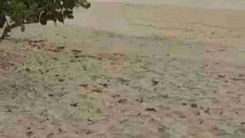 Land for sale in Simpocan, Palawan