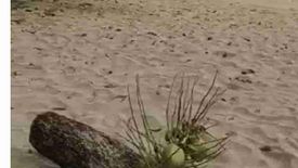 Land for sale in Simpocan, Palawan