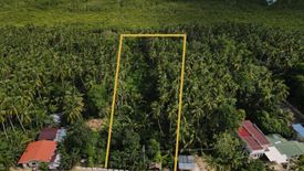 Land for sale in Unidos, Cebu